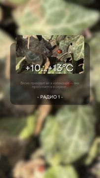 8 ����� ��������� ���������� ����������, ��� �������