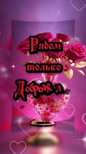 ������� �������, �������, ��������, ������, ����, �������, ����������� ��� � ���������� 8 �����!