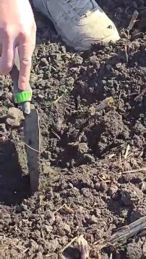 Агроном в слободзейских полях оценивает уровень влаги в почве как 8 из 10. Говорит, если на пару дней зарядит дождь, с почвой всё будет хорошо, переизбыток влаги не грозит