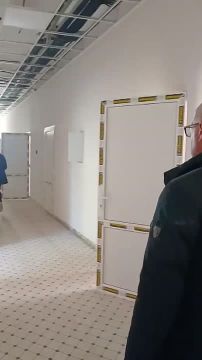 ����������� ������ � ����������, ������� ������ ������� �� ����� ����� �����������, ����������� ��������� � ��������: ��� ��������, ����������� ���, ���������������� ��������� � ������������ ���������