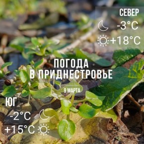 ���� � �� +15��, ��� �������