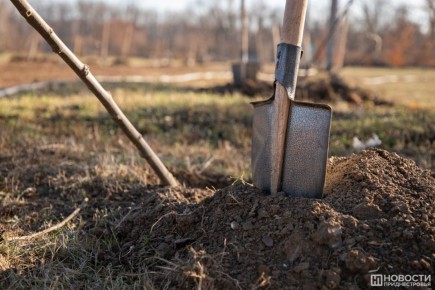 � ������������� ������ ������������������� ���������