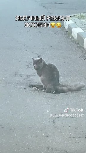 ����������� ���, ����������� ��������, ������� ��������, ��� �����