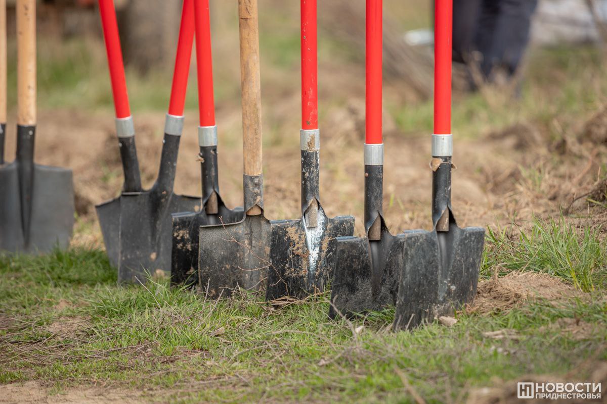 Вадим Красносельский поручил провести общереспубликанские работы по уборке и благоустройству населённых пунктов после зимы