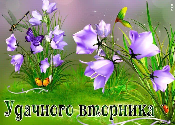 10 марта – вторник с характером
