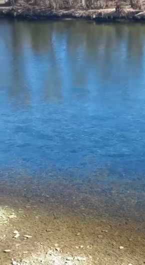 ������ �� ������ ������� �������� �������, ��� �� ������� ��� �������