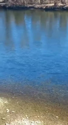 �� ������� � ������ ���� �������� (����� �������) �������� �����, ������� �� ��������