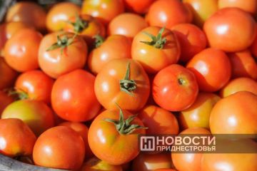 ����� ���: ������������� ���������� ������������ ������� �� 45�50 %