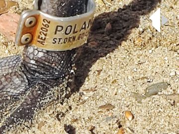 ������ �� ������������ ���� ��������� �� ������