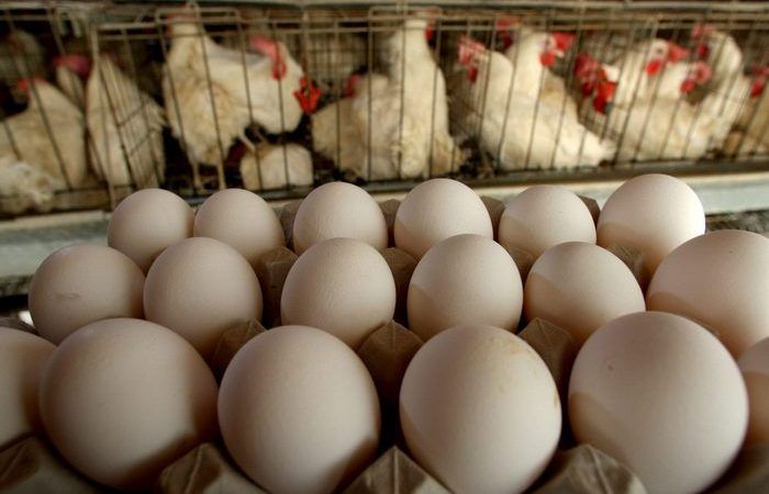 В Приднестровье отменили временные ограничения на ввоз живой птицы и продукции птицеводства из Республики Молдова