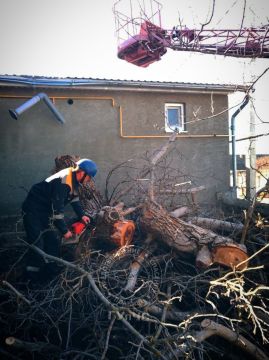 � ���� ����� ������ ����� �� ����� ����