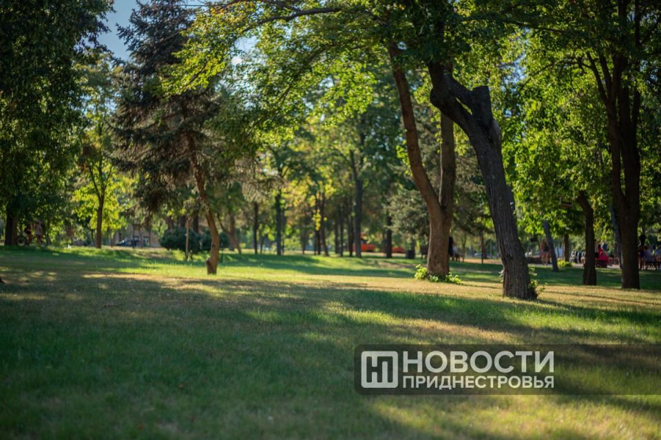 В тираспольском парке «Победа» планируют капитальный ремонт