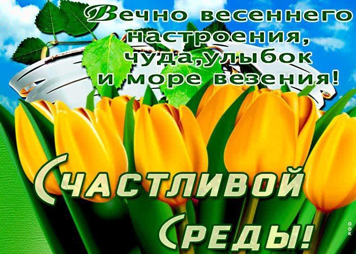 11 марта – среда с размахом