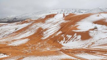 � ������� ������ ������ ��������