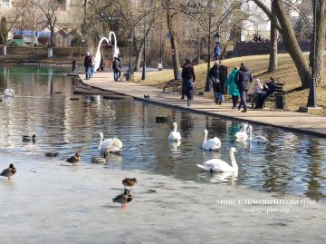 ������ ������ �� �������� ����������� �������������