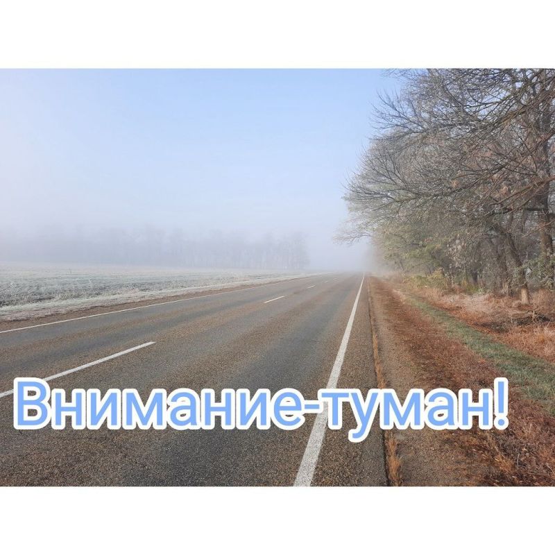 На дороги республики местами опустился туман, на отдельных участках видимость 200–500 метров
