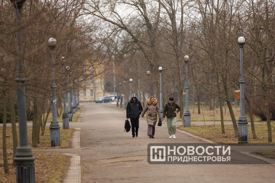 Парк Победы в Тирасполе восстановят Парк Победы в Тирасполе восстановят