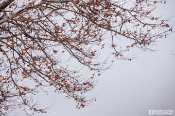 ����� � ������ ����: ������� ������ �� ��������� ������