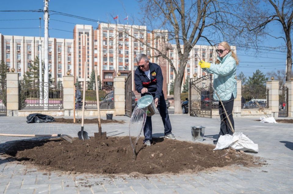«Есть красивая традиция закладывать капсулы времени. А что, как не природная капсула времени, дерево?» — Супруги Красносельские посадили в столице дубы, которые сами вырастили «Есть красивая традиция закладывать капсулы времени. А что, как не природная капсула времени, дерево?» — Супруги Красносельские посадили в столице дубы, которые сами вырастили