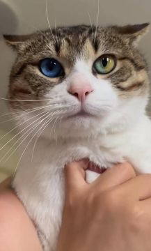 ���-��� � ��� � ������� ��������� �������