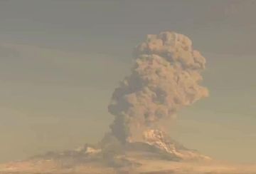 �� �������� ��������� ������ ������� � ����� ����� �������� �� 8 ��