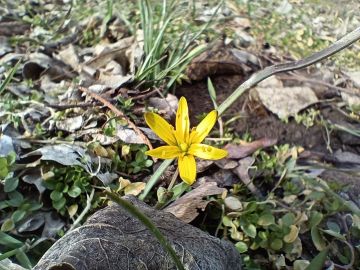 16 ����� ��������� ���������� ����������, ��� �������