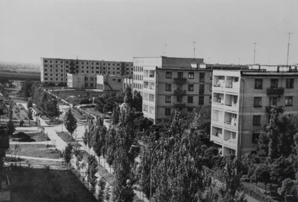 ����������, ��. ����������. 1970 ���