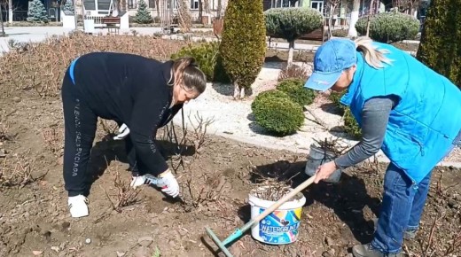 �� ������� ������������ ���������� ����