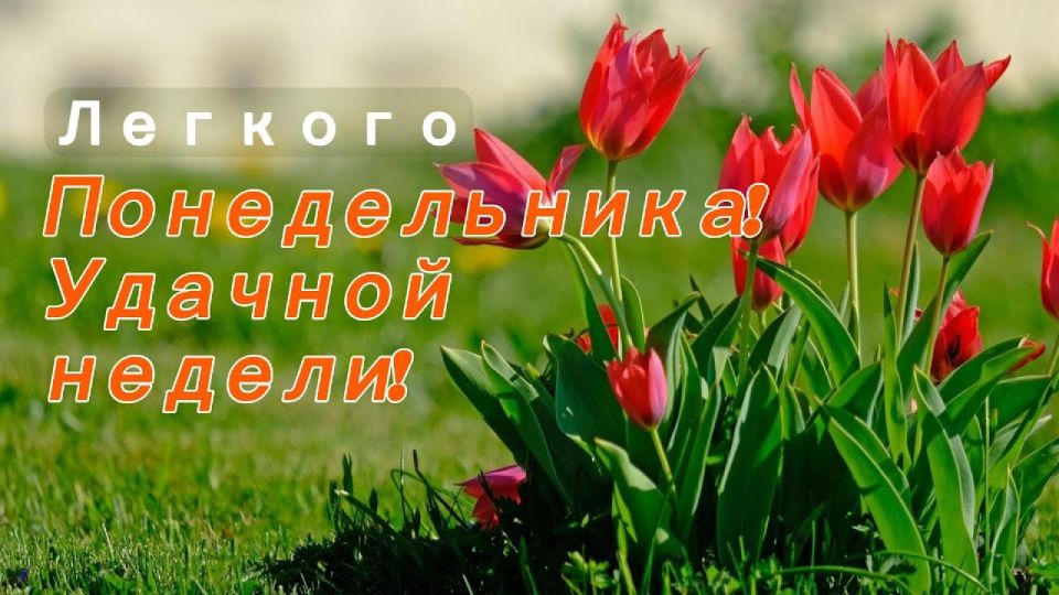 16 марта – открывает новую рабочую неделю праздниками на любой вкус