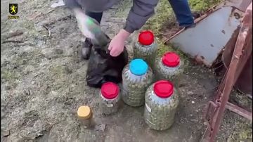 � ������� �� ���� ������� ������������� ������ ������� ������� � �������� �������� ������ 40 �� ��������� ���������� ����� 14 ��� ����