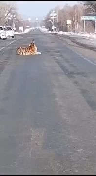 ���� �������� ������ � ����������� ����