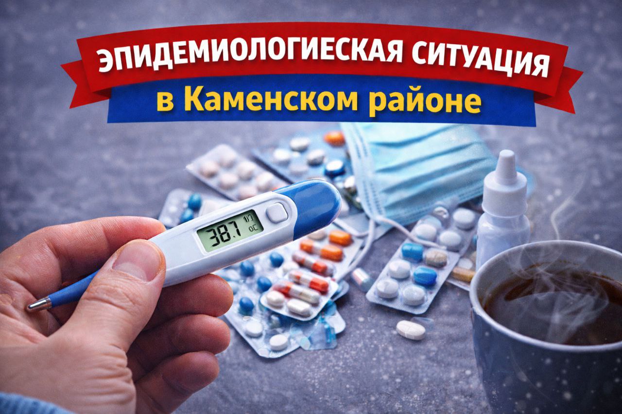 Эпидемиологическая ситуация в Каменском районе