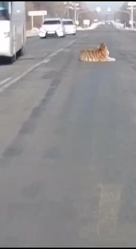 ���� �������� �������� �� ������ � ����������� ����