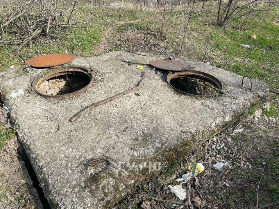На выходных спасатели помогли животным На выходных спасатели помогли животным