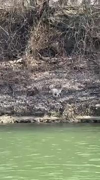 ������ �������� � ������ ������� ���� ���������