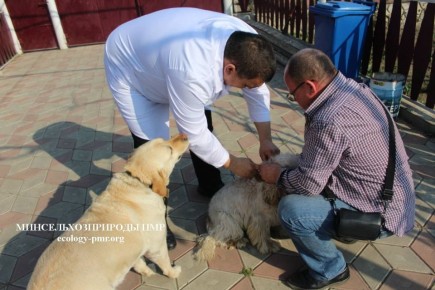 � ������������� � 1 ������ ������� �������� �� ������������ ���������