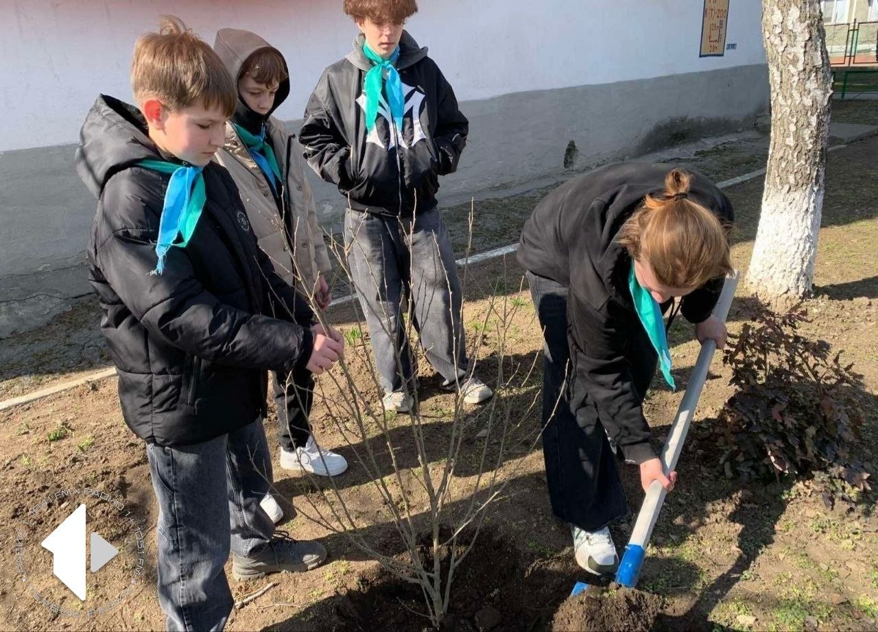 Учащиеся Рыбницкой школы №8 высадили свой «Сад Победы»