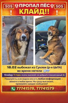 � ������ ��� ������ ������ ���� ������