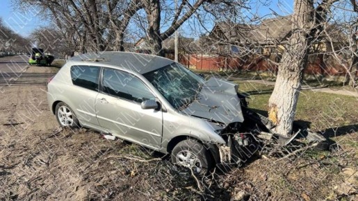 ��� � ��������: ���������� ��� �������