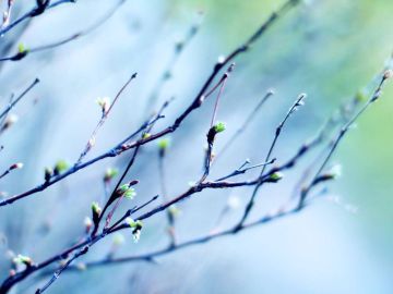 Март без дождей: в Приднестровье зафиксирована погодная аномалия