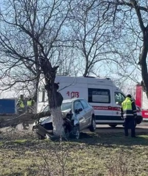 ������ ��������� � ������ � ��������