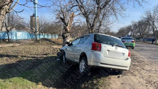 ��� � ��������: ���������� ��� �������