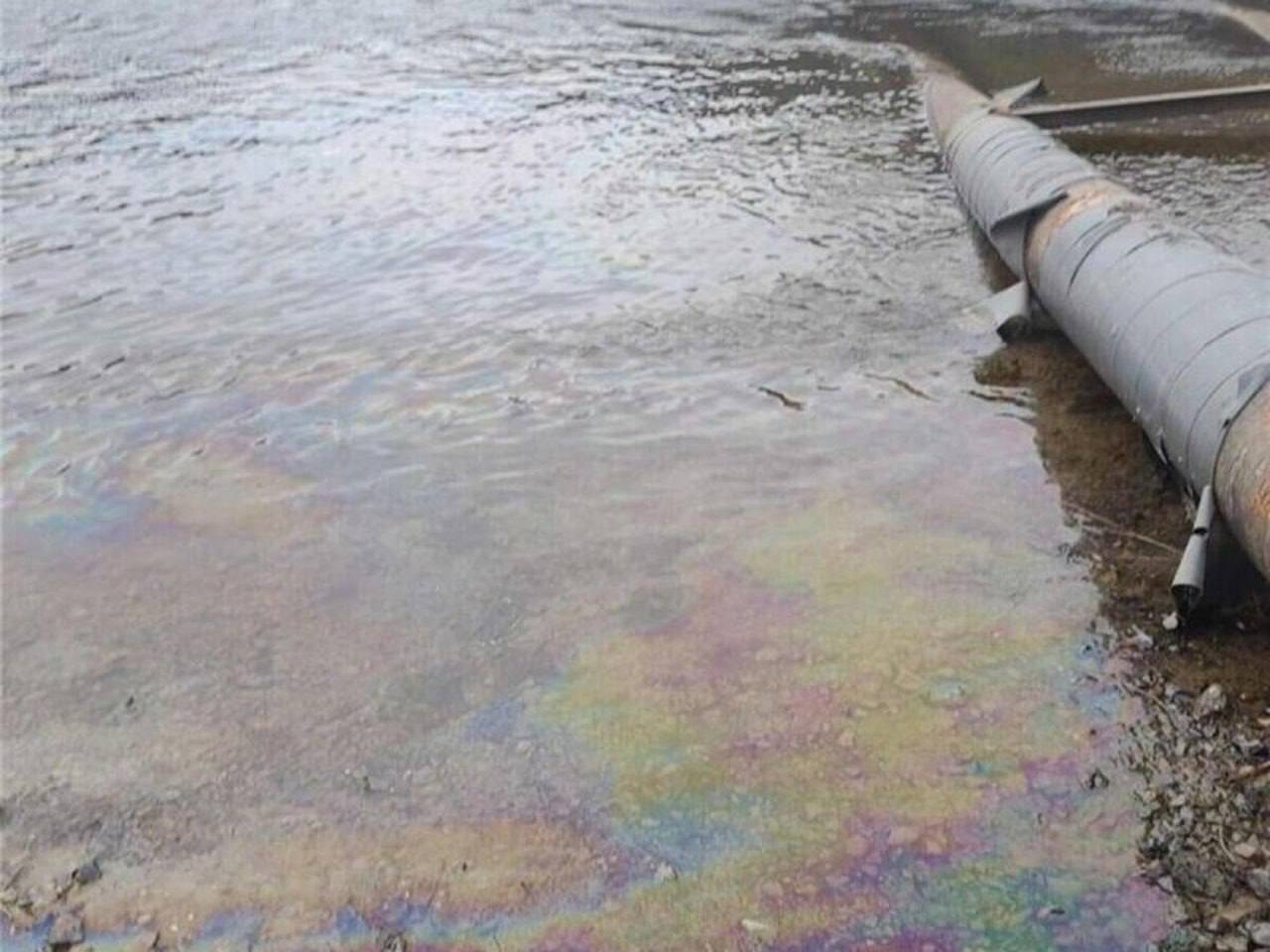 В Днестре обнаружены бензол, толуол, ксилол и этилбензол – соединения, характерные для бензина и дизельного топлива