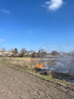 Днестровские пожарные накануне тушили возгорание камыша вдоль осушительного канала в Незавертайловке