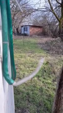 �������� ������������ ����