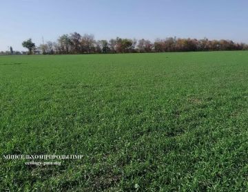 ��������������� ������� �������� � ����������� �������, � �������� ������� �����, �� ��������� ��������