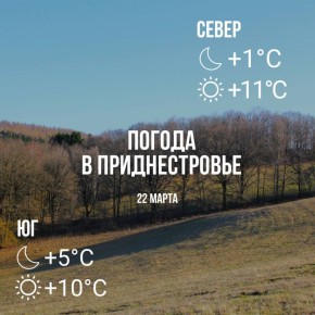 Днём – до +11°С, местами небольшой дождь