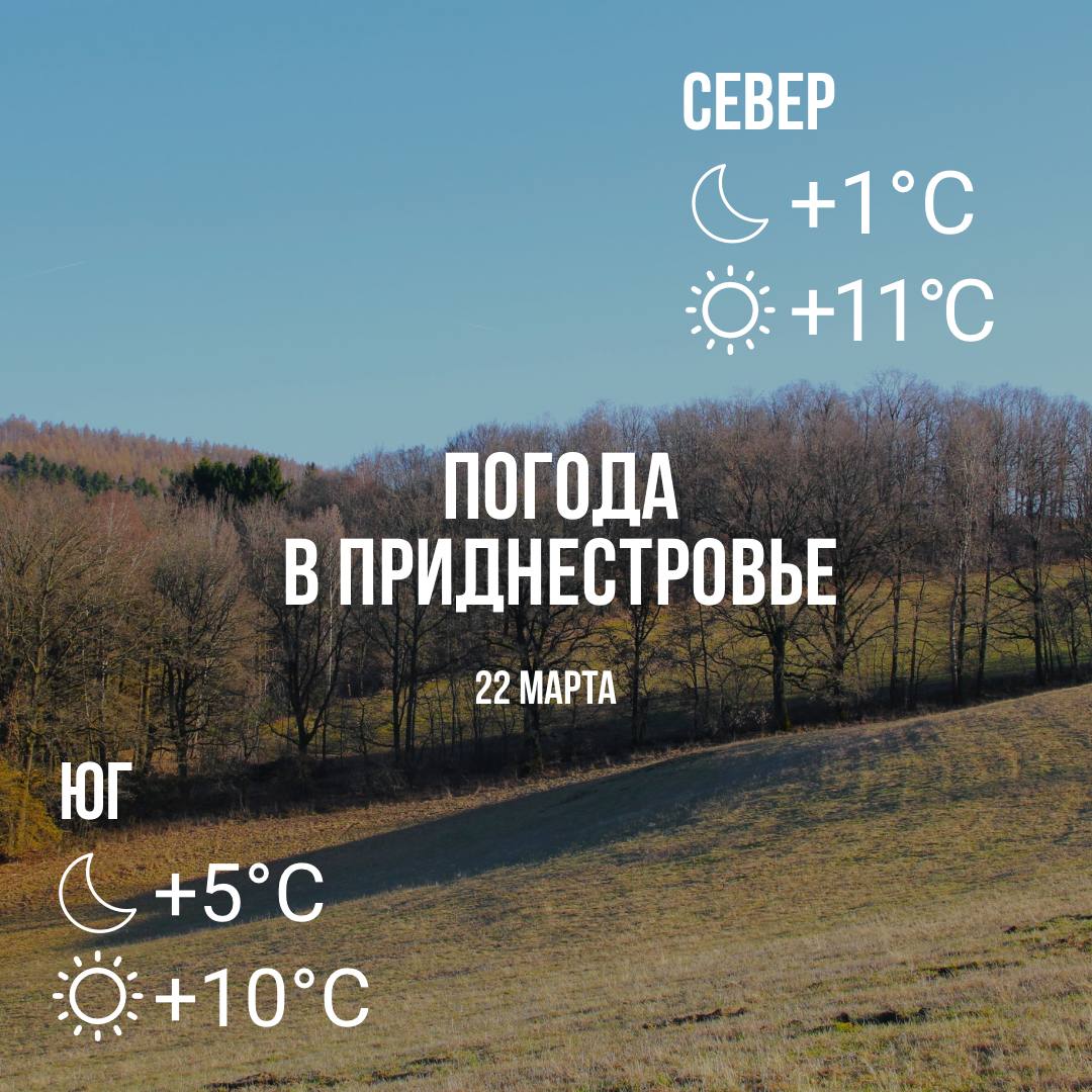 Днём – до +11°С, местами небольшой дождь