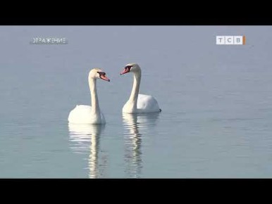 � ������� ������ ������ ����������� ������� � �������� ������ � �������