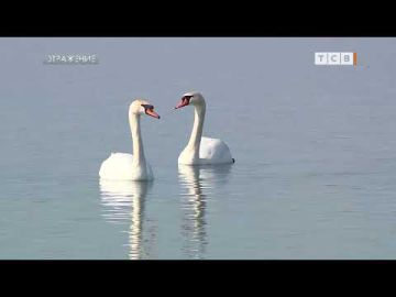 � ������� ������ ������ ����������� ������� � �������� ������ � �������